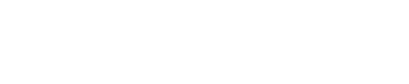 Andy Ford logo